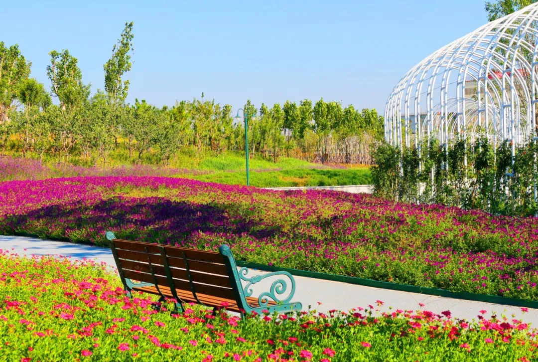 省级名单公示济钢片区中央森林公园入选城市更新示范项目